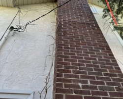 Tree branches resting against overhead service wires where they enter the house